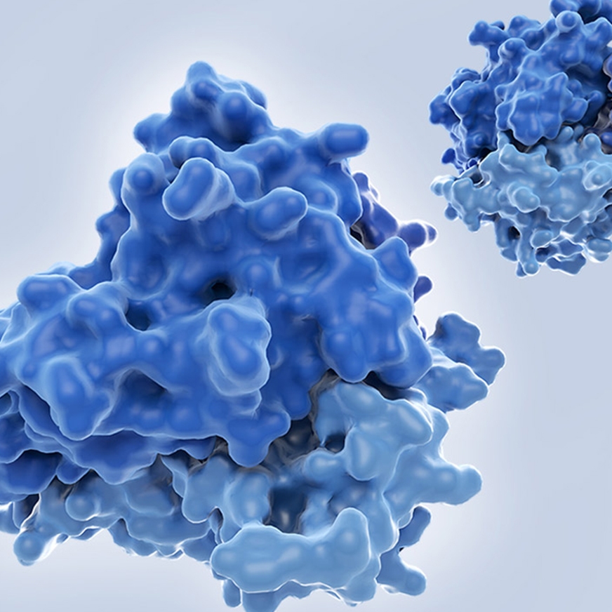 protein protein interaction research reagents