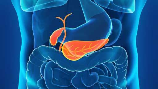 publication-review-evaluating-a-novel-nanoparticle512x288