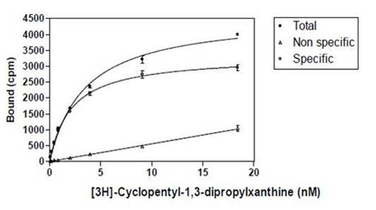 radioimmunoassays-fig4.jpeg