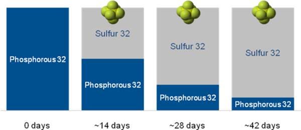 radiometric-assays-and-detection-fig4.jpeg