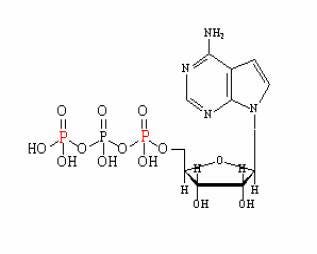 radiometric-assays-and-detection-fig5.jpeg