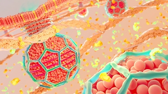 reagents-for-deciphering-the-Interactome-512x288