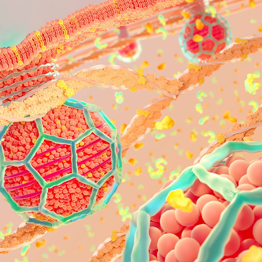 reagents-for-deciphering-the-Interactome-872x872