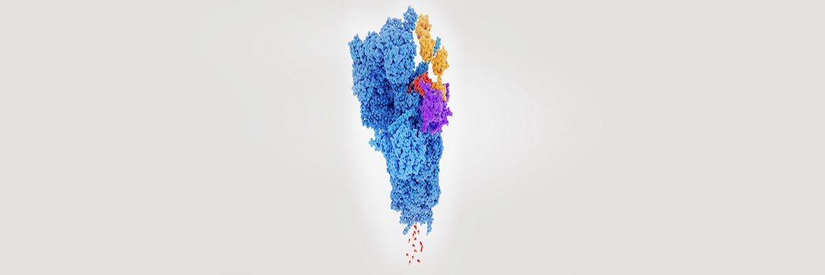 reagents-protein-degradation-protac_1920x400