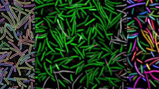 retooling-anti-microbial512x288