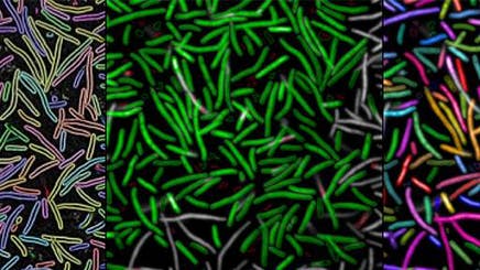 retooling-anti-microbial512x288