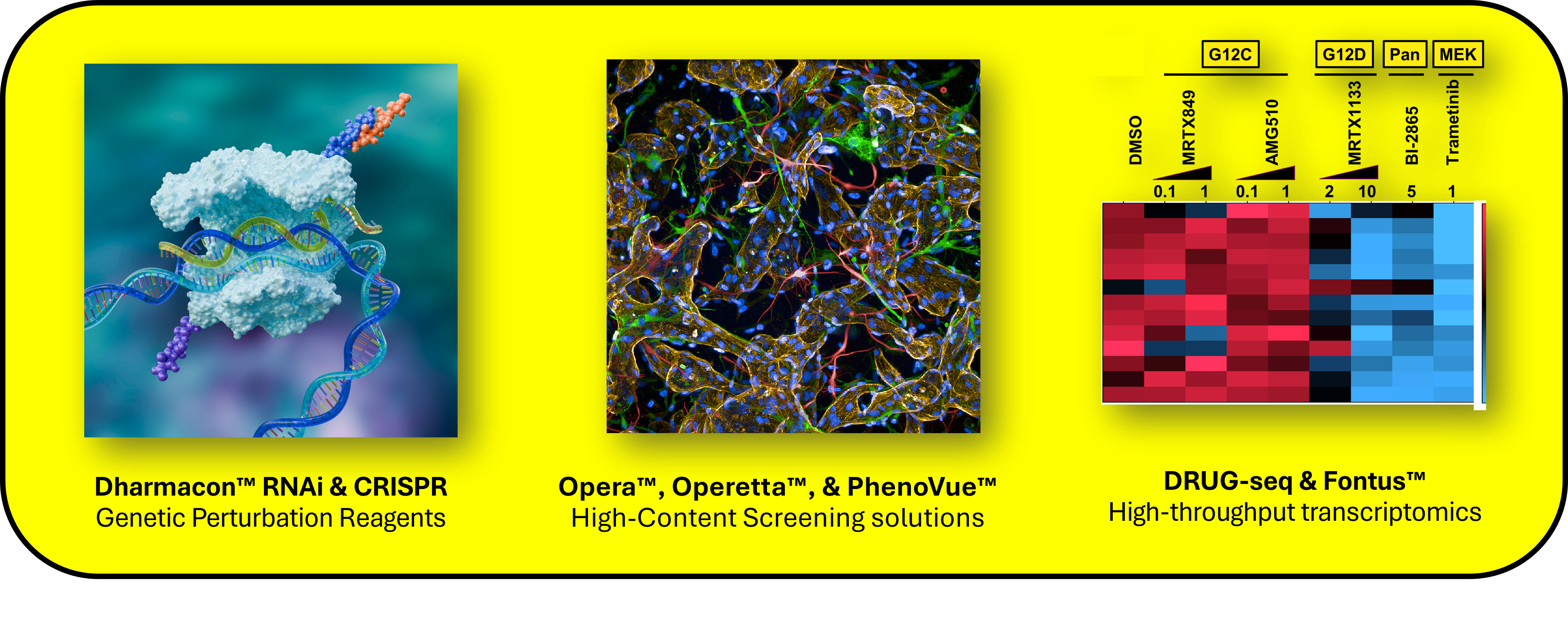 Revvity solutions for drug discovery, including Dharmacon™ genetic perturbation tools