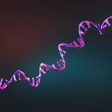 rna-category-page-872x872