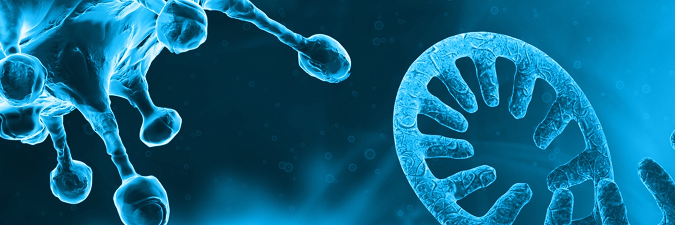 Detection of SARS-CoV-2 in wastewater