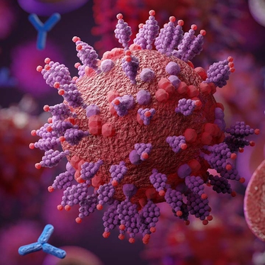 sars-cov-2-testing-solutions-hero