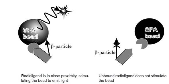 scintillation-proximity-assays-fig1