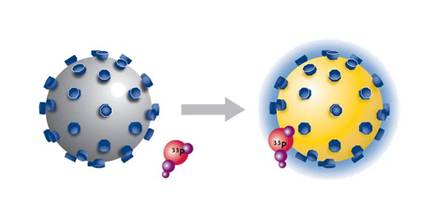 scintillation-proximity-assays-fig2