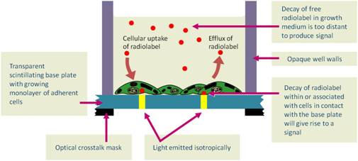 scintillation-proximity-assays-fig3