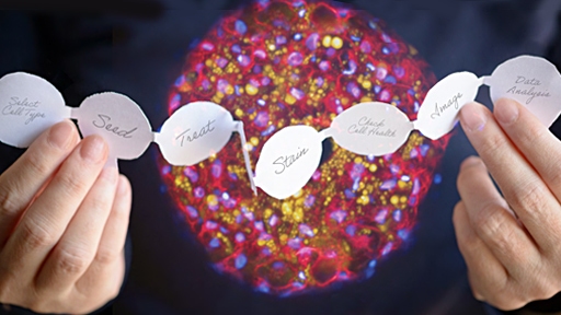 seamless-science512x288