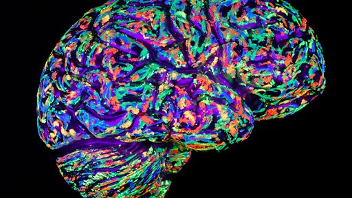 selective-targeting512