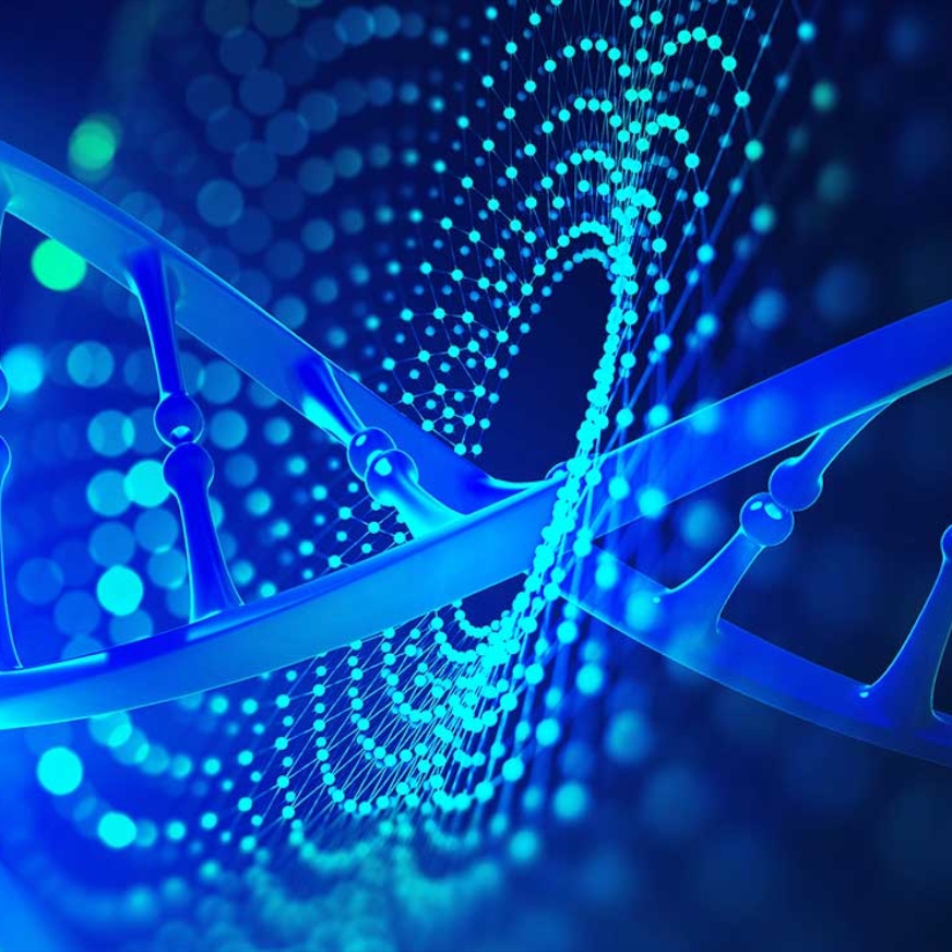 Setting Up NGS for Service Labs