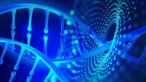 Setting Up NGS for Service Labs