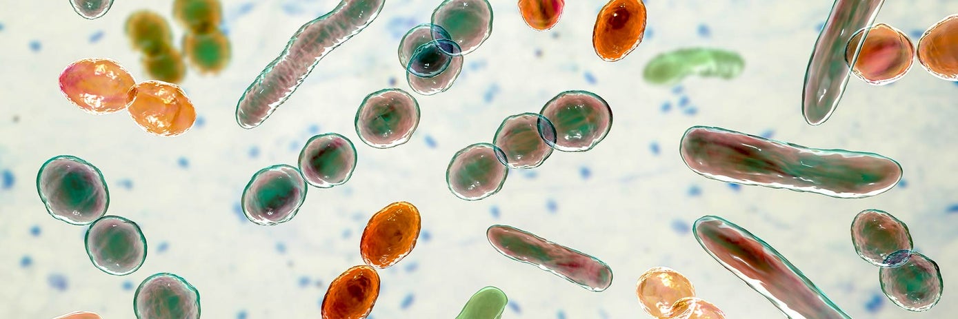 shotgun-sequencing-1920x640