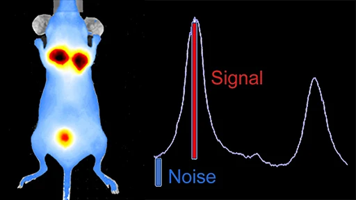 signal to noise