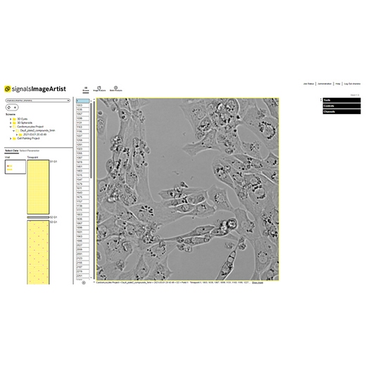 Signals Image Artist Kinetics