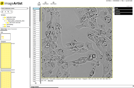 Signals Image Artist Kinetics