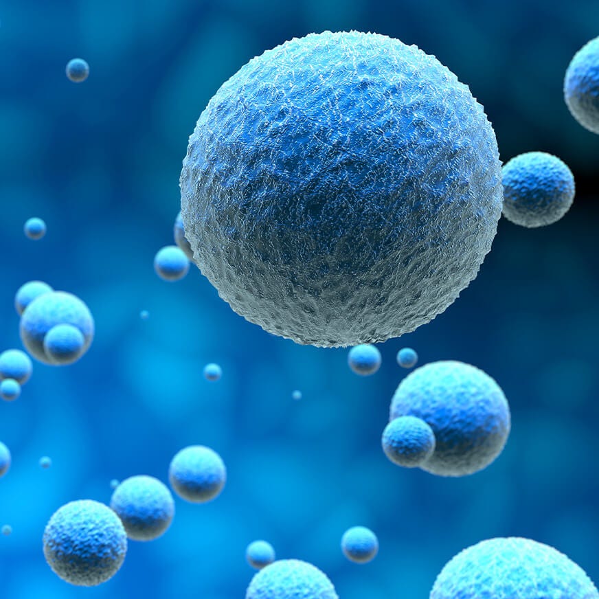 Single-cell Sequencing