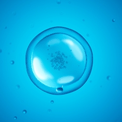 Single cell transcriptomics