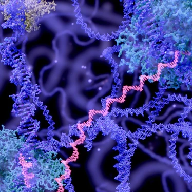 Automated Small RNA Library Prep Kits | Revvity