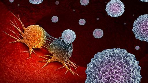 solutions-to-advance-your-car-t-cell-research512