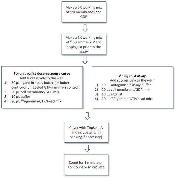 spa-assays-for-gtp-binding-fig3