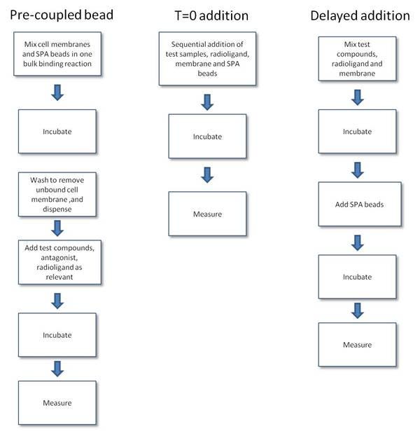 spa-ligand-binding-assays-fig3.jpeg