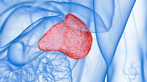 spleen-volume-cancer-lupus-murine-models_512x288px