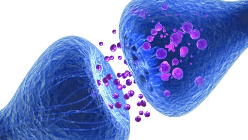 synaptotagmin-7-thumbnail