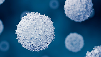 T cell immunology