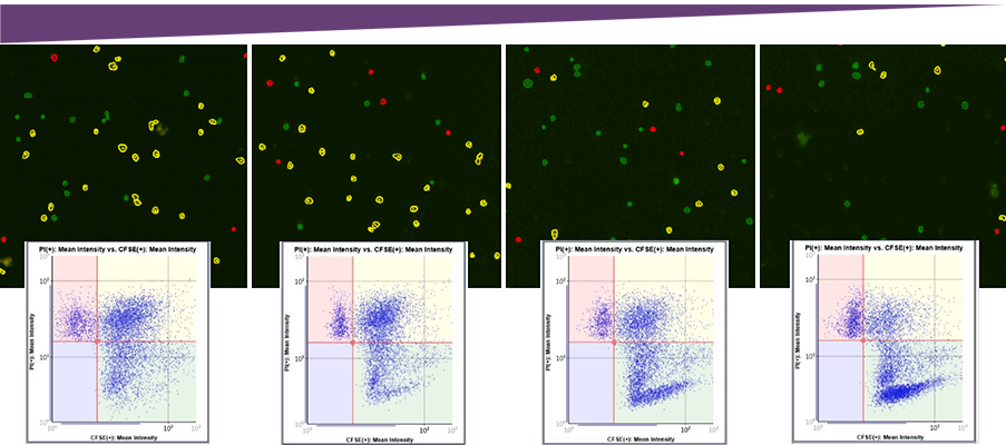 Target cell images corresponding gating 1