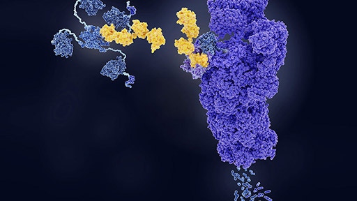 targeted protein degradation