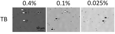 Trypan blue concentration dependence viability comparison