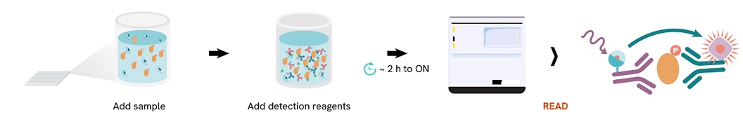 Revvity Kit Immunoassays Reagents and Kits | Revvity