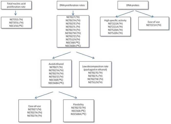 thymidine-incorporation-assays