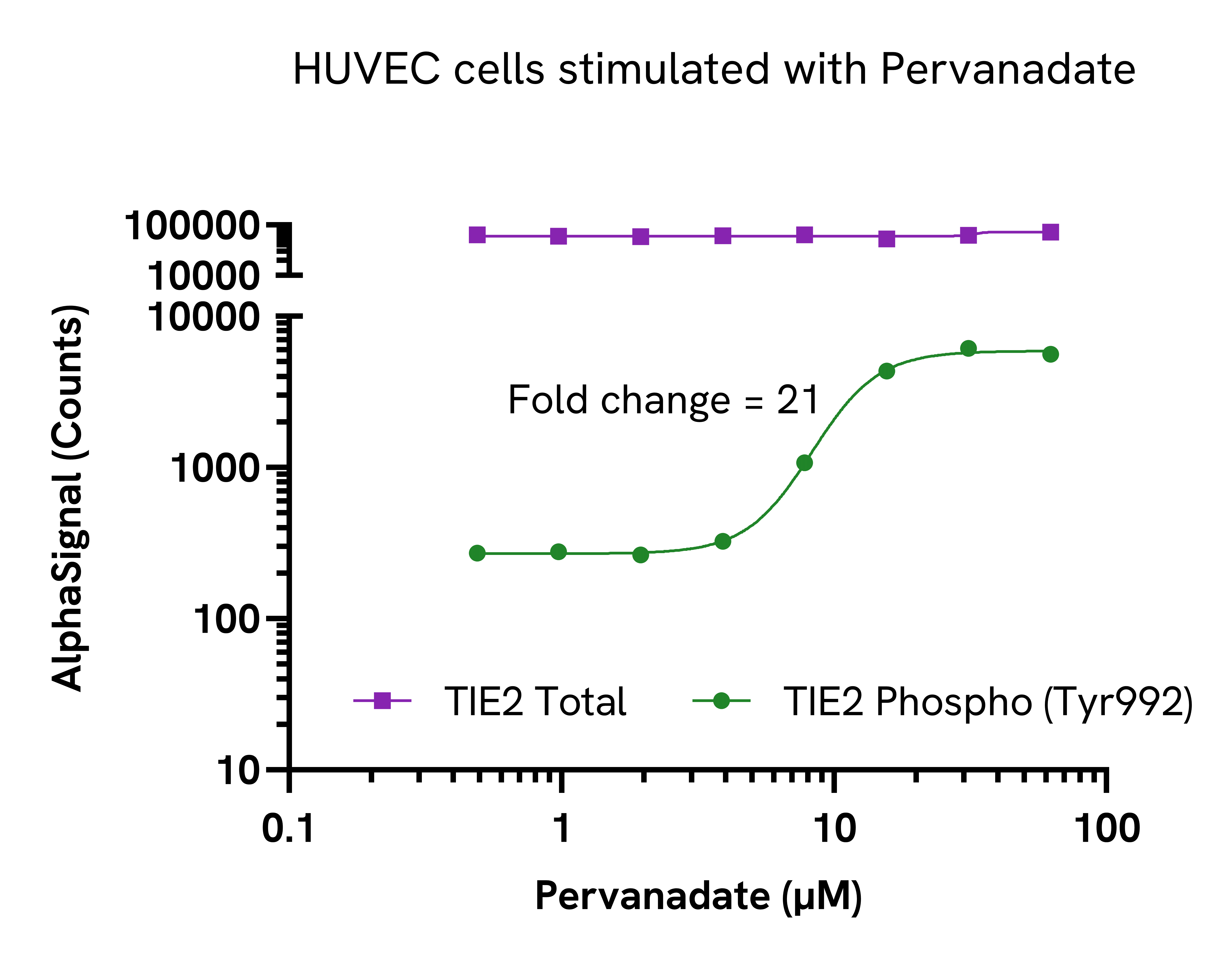 tie-huvec-cells-stimulated-with-pervanadate.png