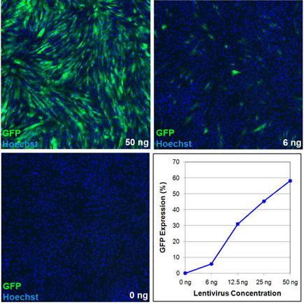 Transduction optimization