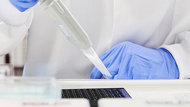 transfection-thumbnail