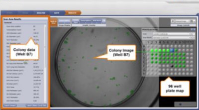 Tumorsphere formation celigo software