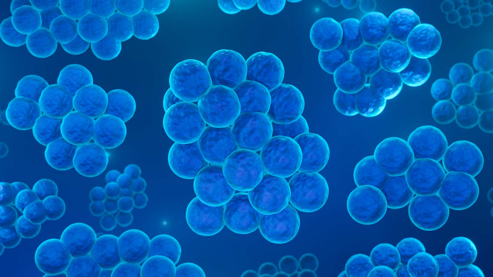 ubiquitin-ser65-triggers-the-mechanisms-of-mitophagy-hero-1920x1080