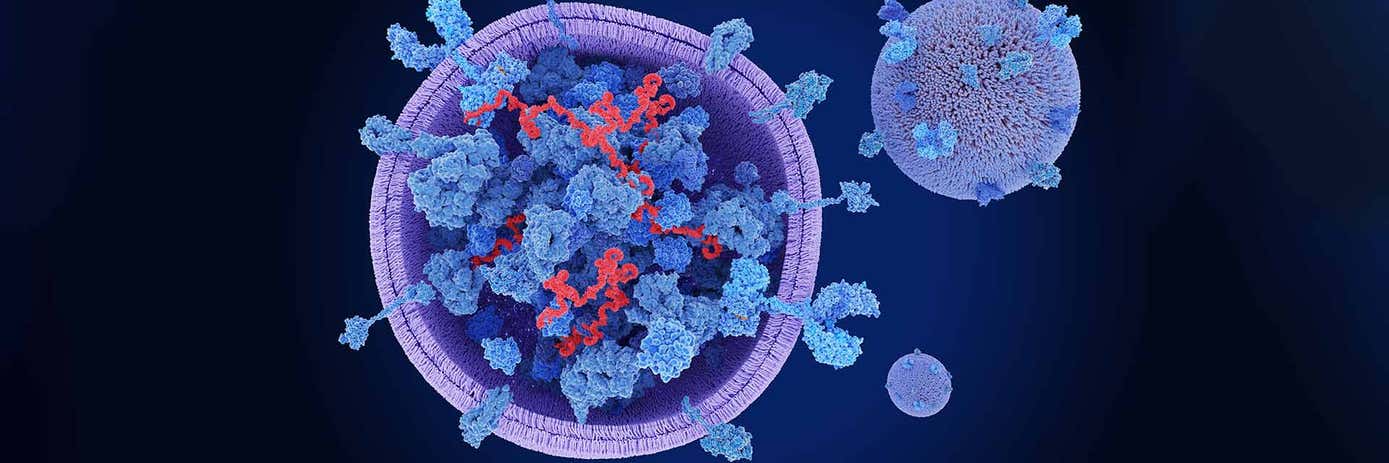 vesicles1920x640