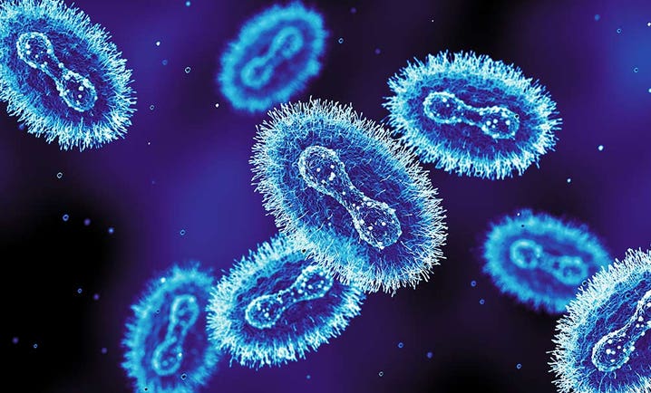 virus-screening1077x606