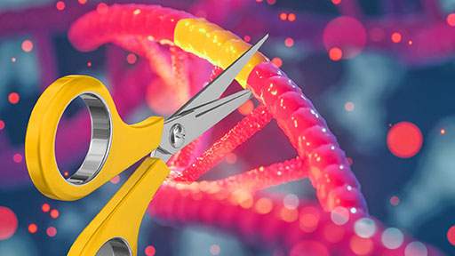 western-lightening-one-crispr512