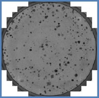 Whole well image MDA MB 468 cells