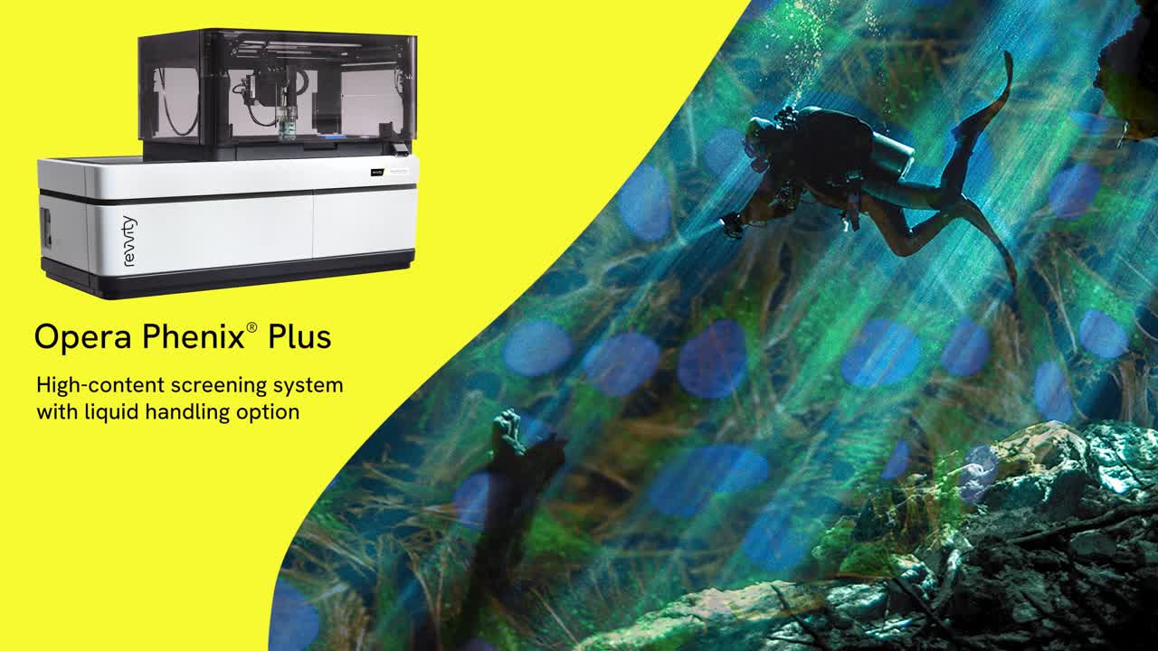 Opera Phenix Plus Video and Booth Loop | Revvity