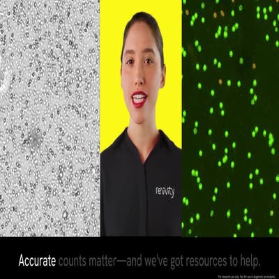 Video Play Button